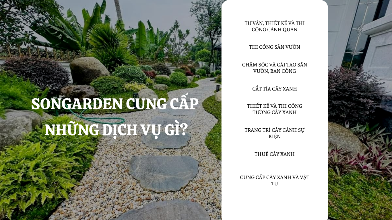 SonGarden cung cấp những dịch vụ gì?